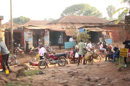 Campo de trabajo Uganda 2025