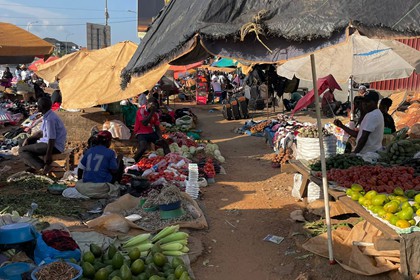 Campo de trabajo Uganda 2025